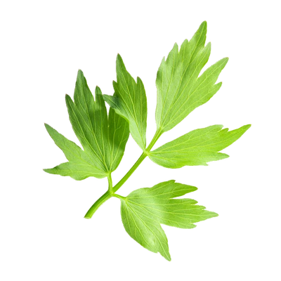 Apigenin (Organic Parsley)