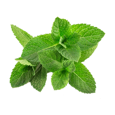 Organic Mint